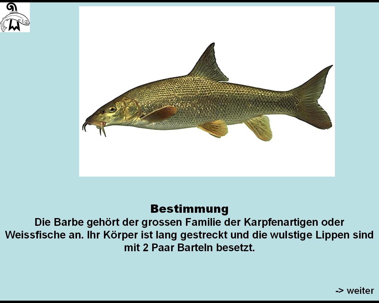 bild 106